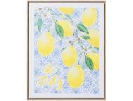 アートボード　シトラス　C