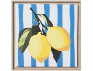 アートボード　シトラス　A