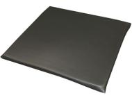 薄型ハードシートクッション　コラム　BK(40×40)