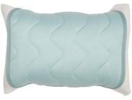 枕パッド　クールポイントEX　BL　(43×50)