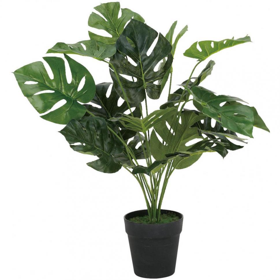 フェイクグリーン Two One Styleネット