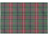 ランチマット チェック GR