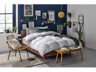 シェーヌ羽毛掛ふとん　フランスシルバーダウン90%　シングルロング