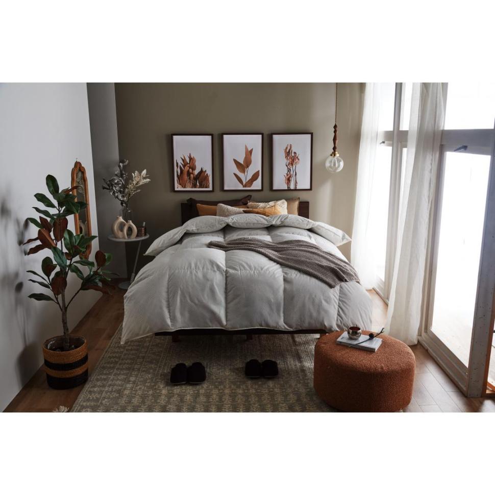 シェーヌ羽毛掛ふとん　ポーランドホワイトグース90%　シングルロング