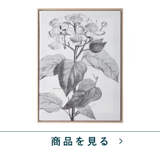 アートボード　図鑑からA　NA