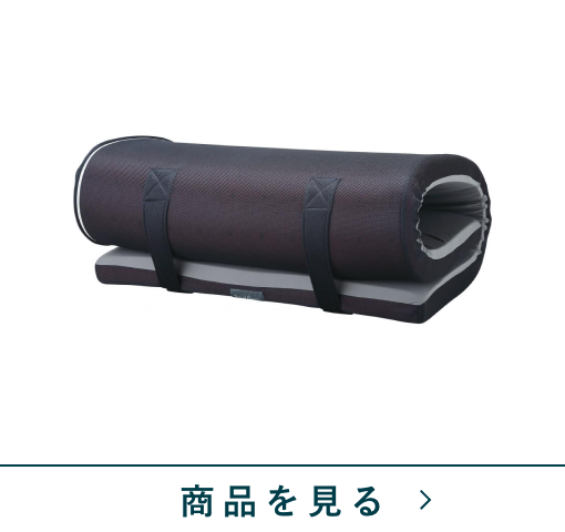 【西川】ロイヤルスリープエアフロー　RS100(シングル)