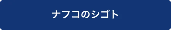 ナフコ新卒採用サイト